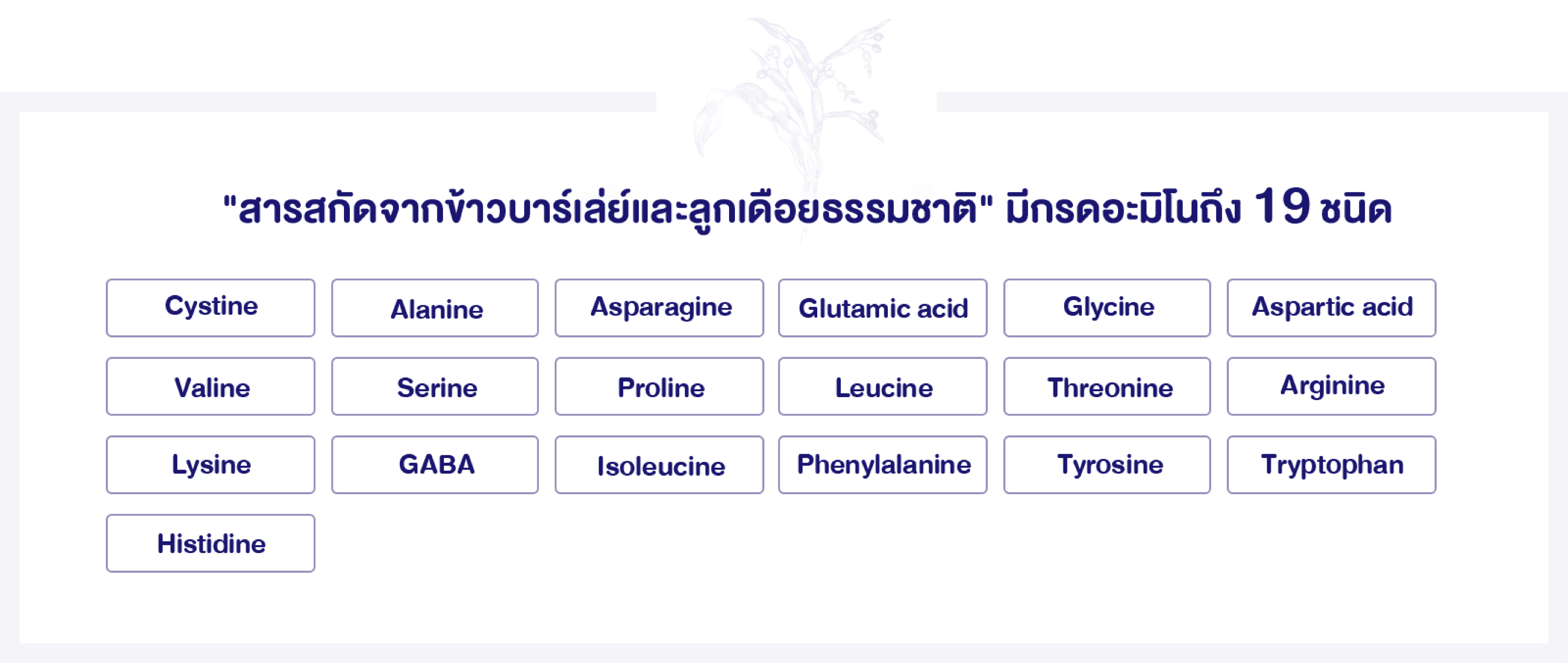 ในลูกเดือยมีกรดอะมิโนถึง 19 ชนิด ซึ่งกรดอะมิโนเหล่านี้เป็นส่วนประกอบสำคัญที่ช่วยบำรุงผิวพรรณ